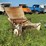 #1623-•-loose-hay-loader-image-4