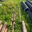 #1633-•-misc.-steel-pipe-image-9