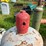 #1674-•-(2)-large-steel-propane-tanks-image-8