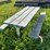 #1632-•-picnic-table-image-2
