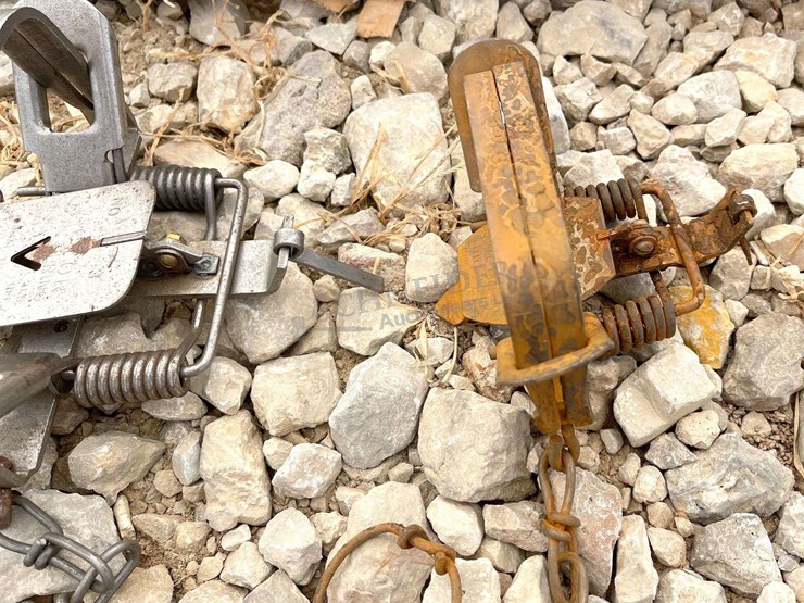 group-of-48-victor-double-coil-spring-traps-image-5