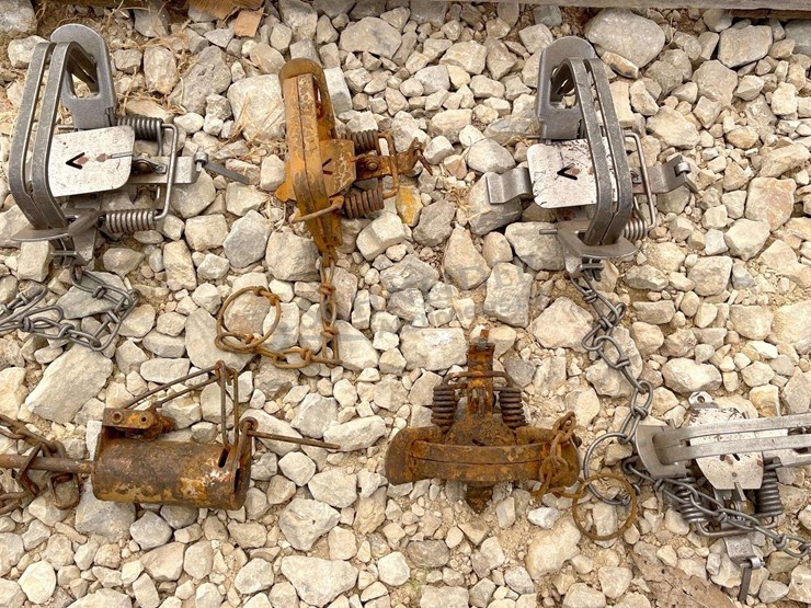 group-of-48-victor-double-coil-spring-traps-image-3