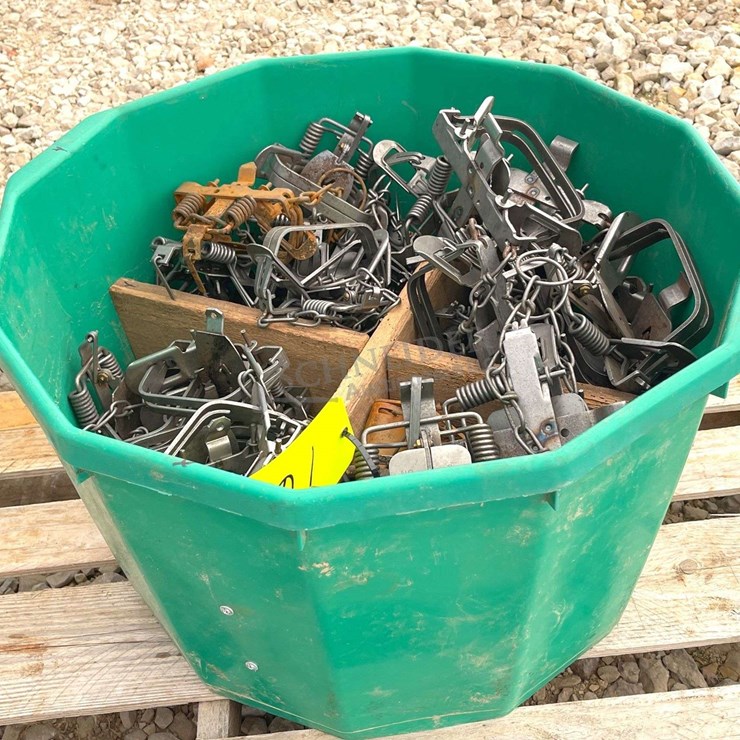 Group of 48 Victor double coil spring traps