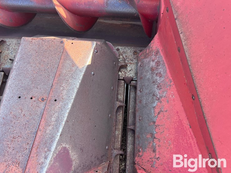 international-863-image-20