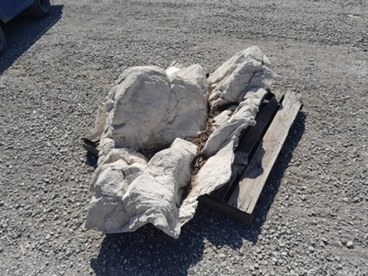lot#--decorative-rock-image-3