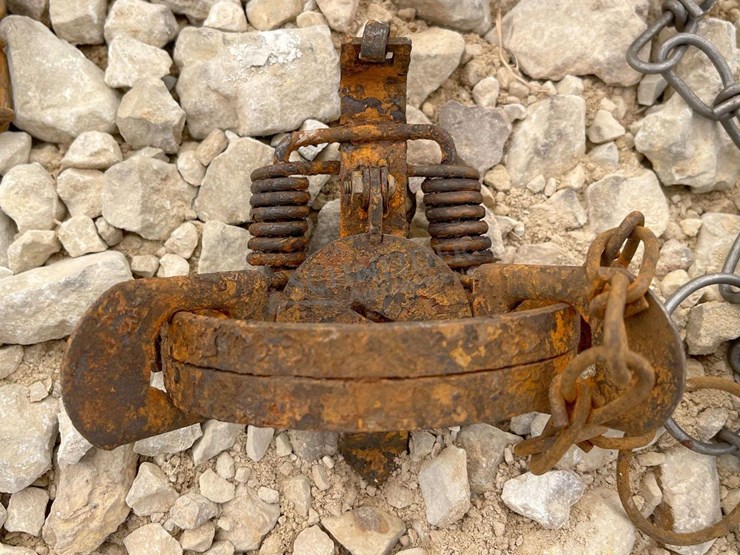 group-of-48-victor-double-coil-spring-traps-image-8