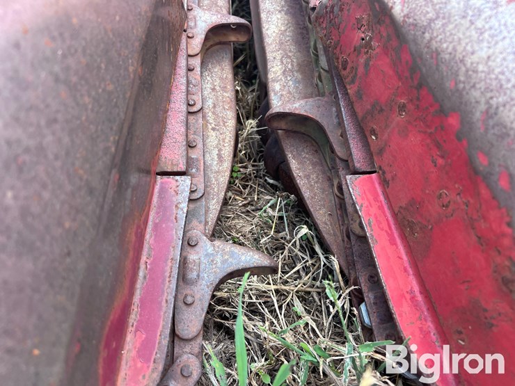 international-863-image-19