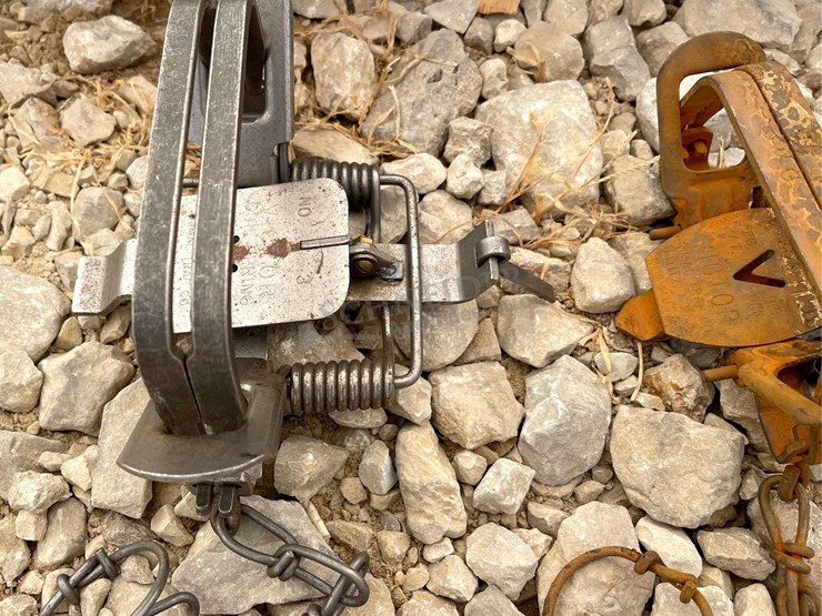 group-of-48-victor-double-coil-spring-traps-image-4