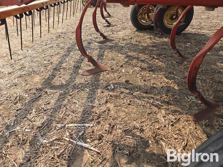 krause-4236-image-18