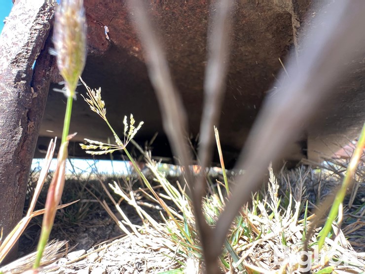 bush-hog-160-image-19