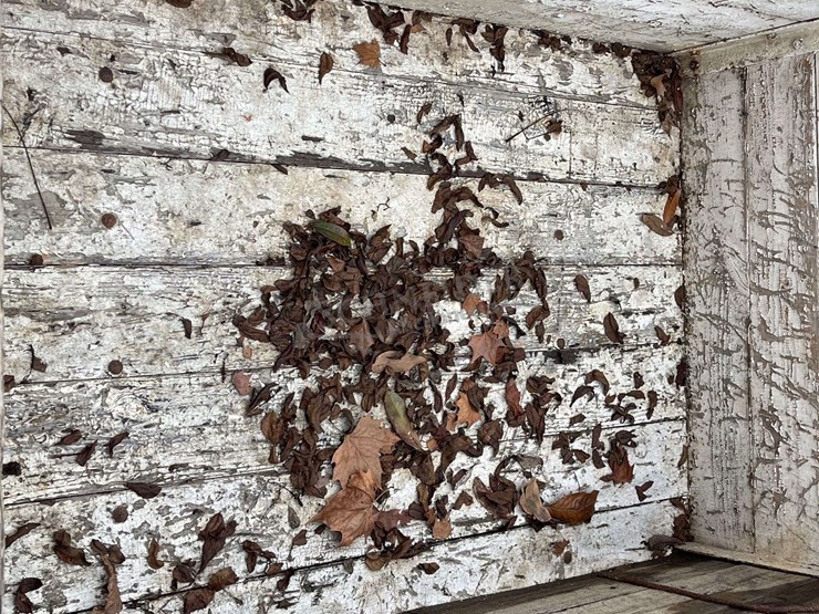 3'x5'-3-point-carry-all-image-10