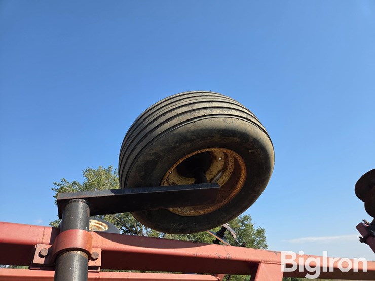 international-490-image-19