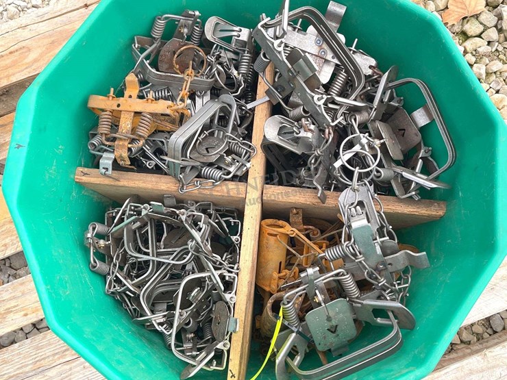 group-of-48-victor-double-coil-spring-traps-image-2