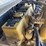 caterpillar-303.5e2-cr-image-52