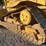caterpillar-d6r-xl-image-19