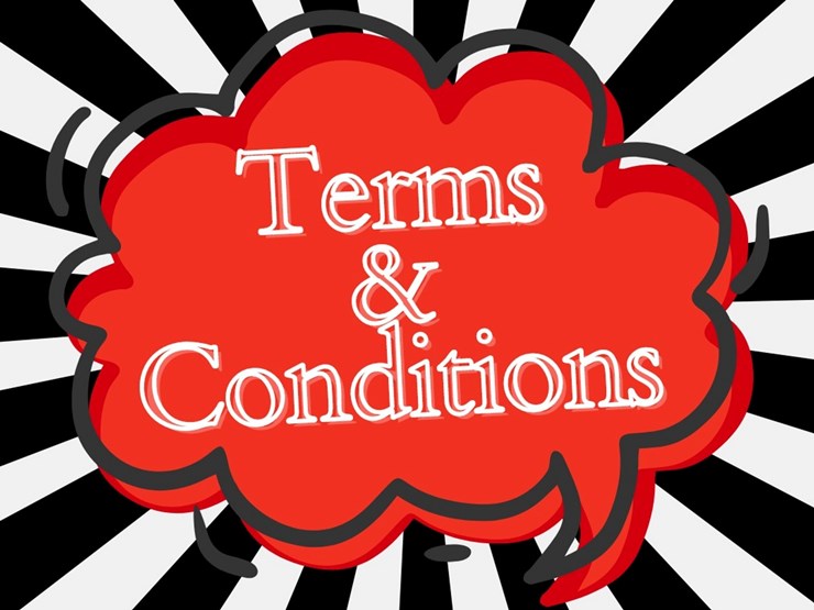 #1-•-##terms-&-conditions-image-1
