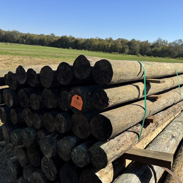 #13096 • (36) Treated Wood Post 4"x8'