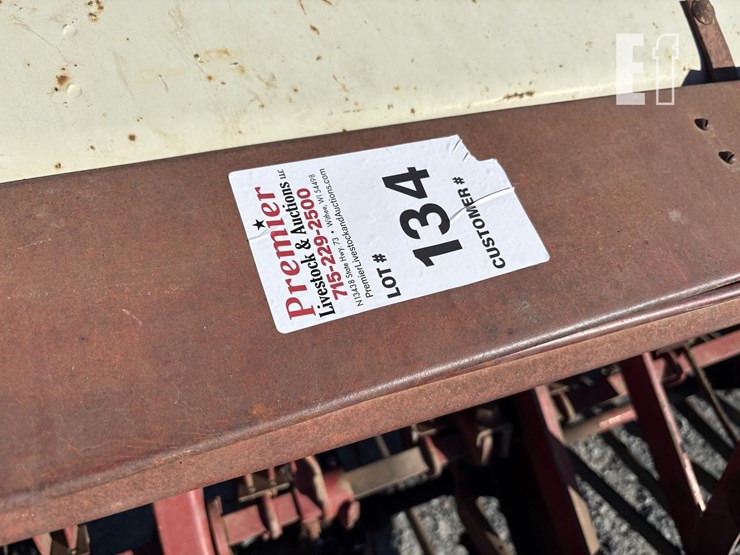 international-10-image-5