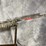 #2005-•-winchester-sx4-12-ga.-semi-auto-shotgun,-sn:-pt19455yw11k-image-6