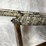 #2005-•-winchester-sx4-12-ga.-semi-auto-shotgun,-sn:-pt19455yw11k-image-16