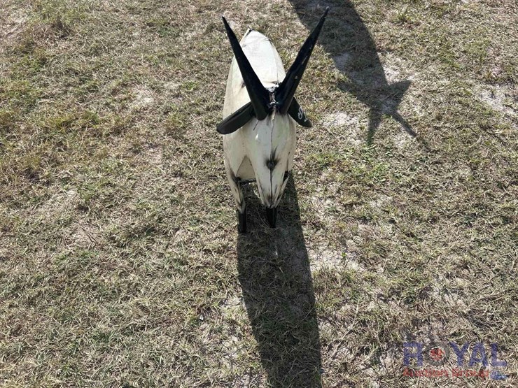 more-info-coming-soon!-image-3