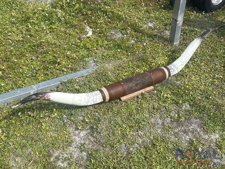 more-info-coming-soon!-image-2