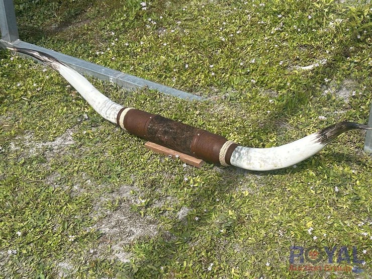 more-info-coming-soon!-image-1