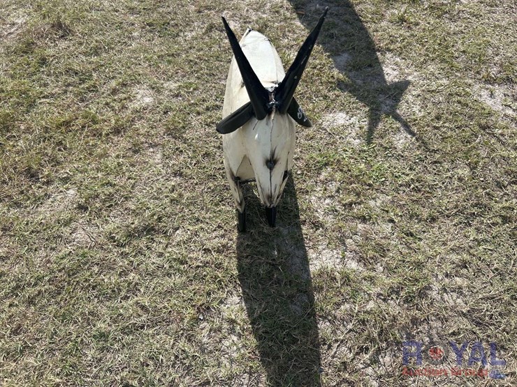 more-info-coming-soon!-image-2