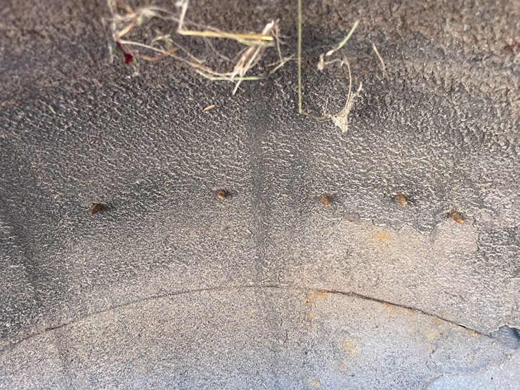 2003-kia-sedona-image-27