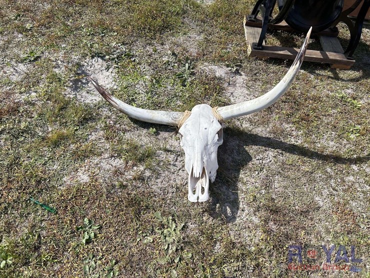 more-info-coming-soon!-image-3