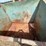 dumpster-image-5